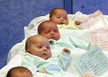 _mini_babies_web.png