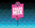 _mini_salvaMix_2013_web.png