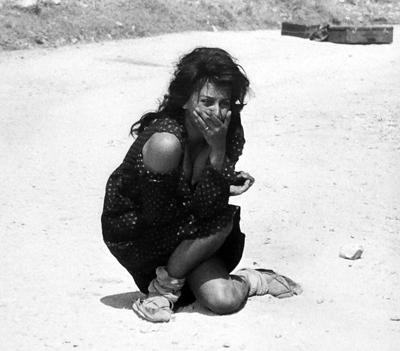 sophia ciociara web