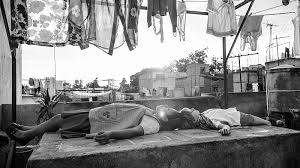 roma immagine roma immagine