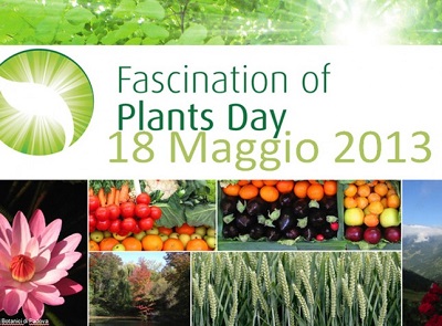 Fascination Plants