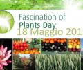 Fascination Plants