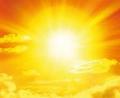 sole