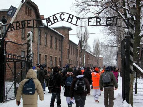 https://www.z3xmi.it/get image/visita auschwitz