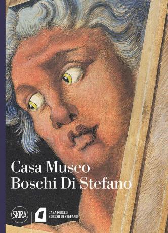 Casa Museo Boschi Di Stefano 2020 (2)