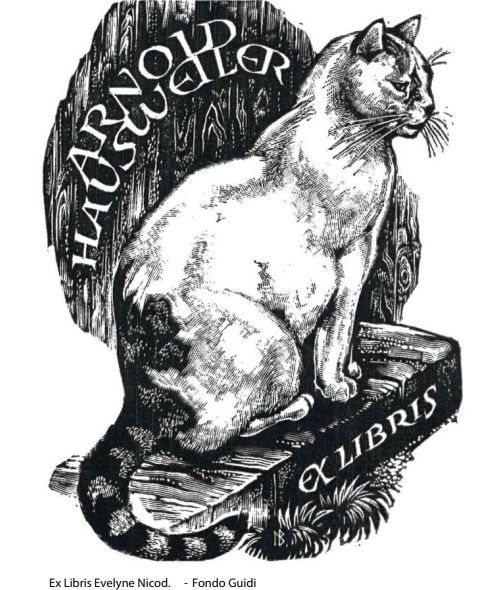 BibliotecaLambrate sormanigatti
