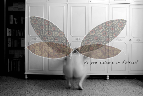 Donatella do you believe in fairies web Donatella do you believe in fairies web