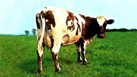 preview atom heart mother pink floyd 8141