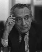 Boeri immagine