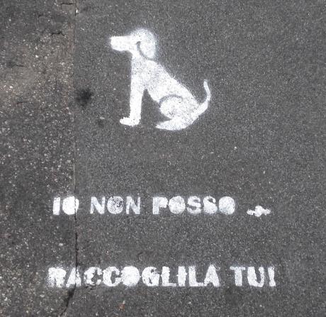 Raccolta cacca cani