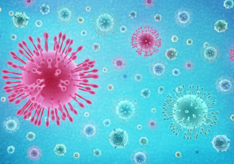 coronavirus coronavirus