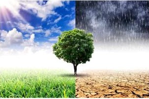 Crisi climatica e ecologiche (1)