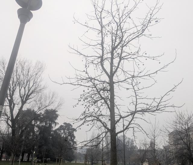 foto mia su milanoPXL 20250222 062427860