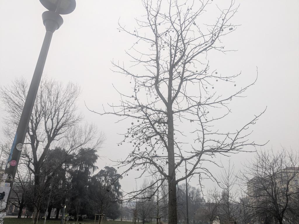 foto mia su milanoPXL 20250222 062427860