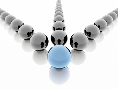 leadership web ape leadership web ape