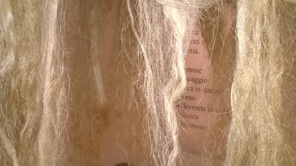 8.Capelli al vento bassa 8.Capelli al vento bassa