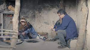 gli orsi immagine gli orsi immagine