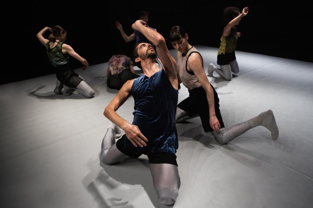 HYBRIDITY by CocoonDance ©Alessandro De Matteis Theater im Ballsaal Bonn 7446 HYBRIDITY by CocoonDance ©Alessandro De Matteis Theater im Ballsaal Bonn 7446