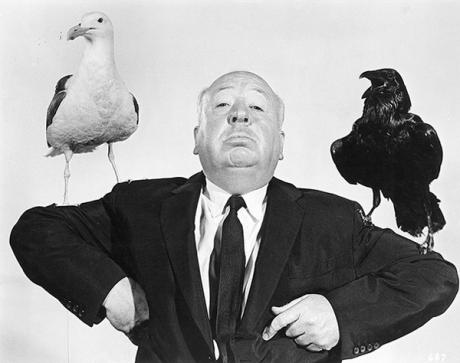 Hitchcock gli uccelli