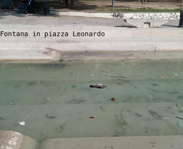 Fontana Leonardo