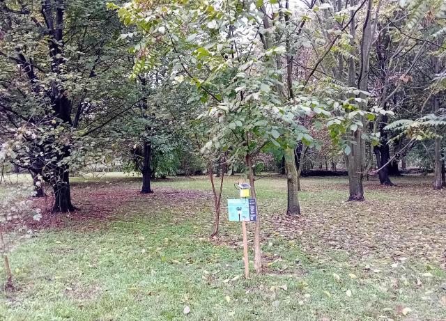 Giardino Mirabal questionario 