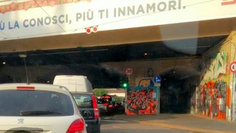 petizione petizione