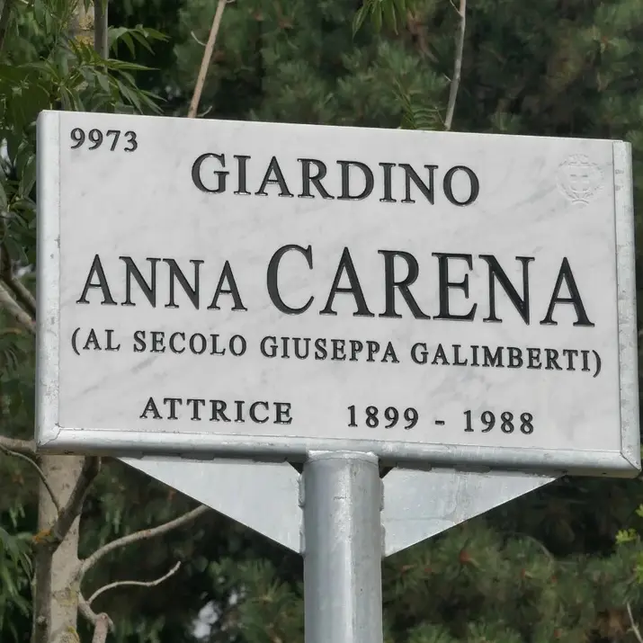 anna carena anna carena