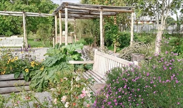 restorative garden 1