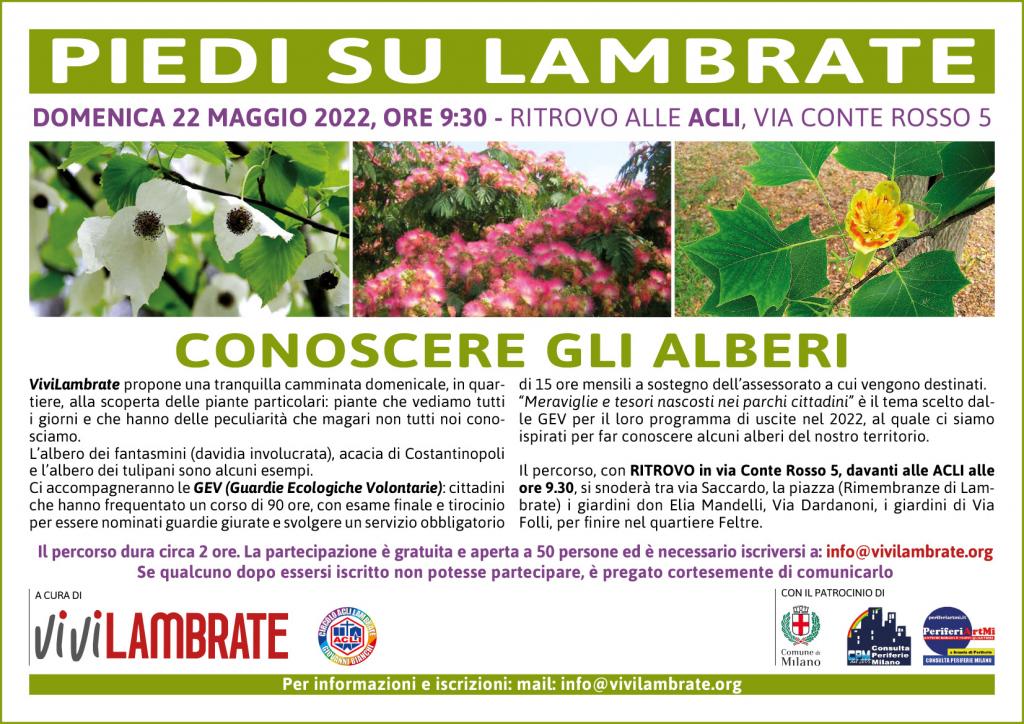 CONOSCERE GLI ALBERI OK CONOSCERE GLI ALBERI OK