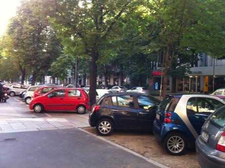 auto sotto alberi auto sotto alberi