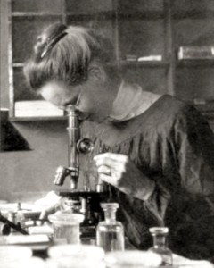 5e2 nettie stevens 5e2 nettie stevens