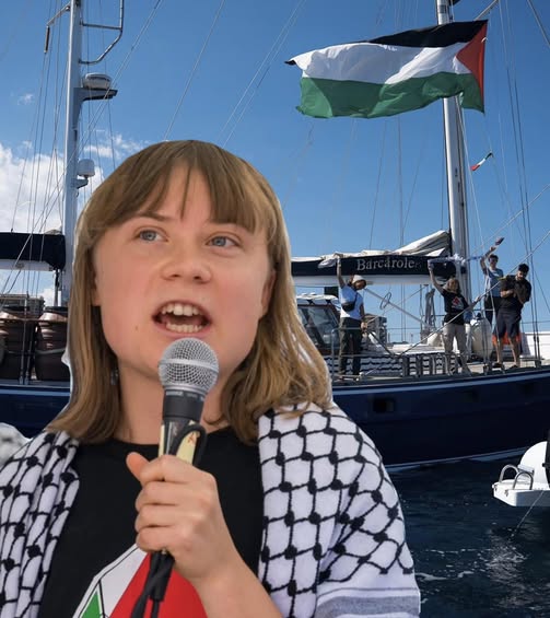 Greta Turnberg e la flottiglia