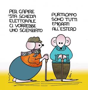 elezioni